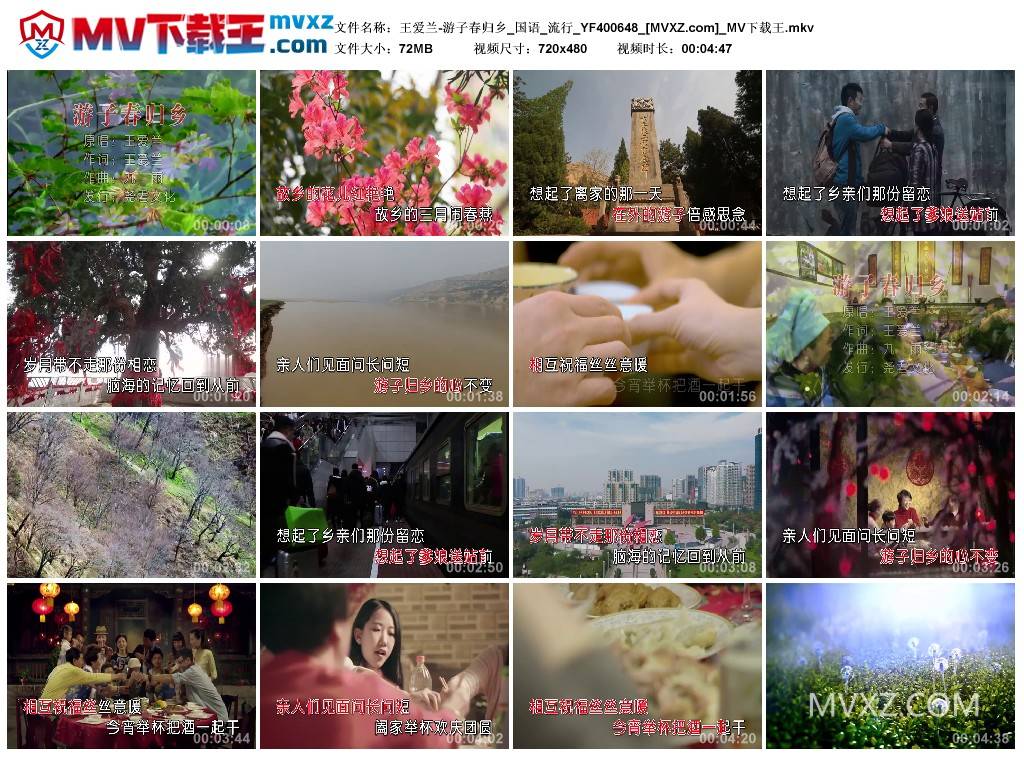 王爱兰-游子春归乡_国语_流行_YF400648